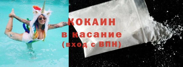стаф Богданович