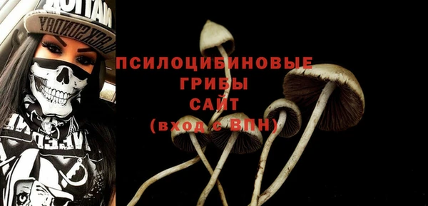 стаф Богданович