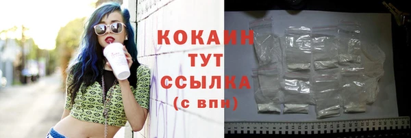 стаф Богданович