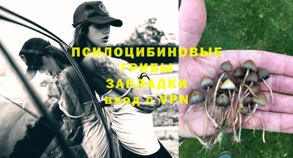 дурь Белоозёрский