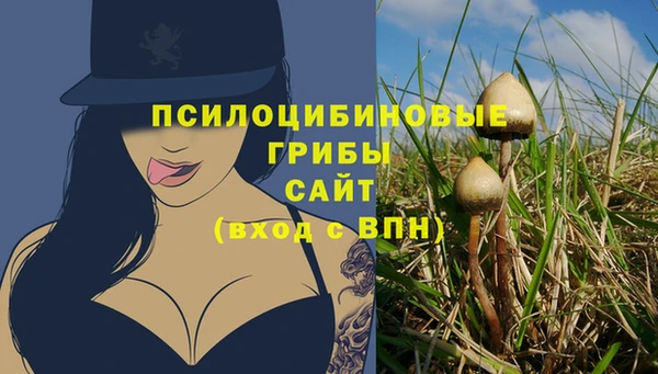 амфетамин Богородск