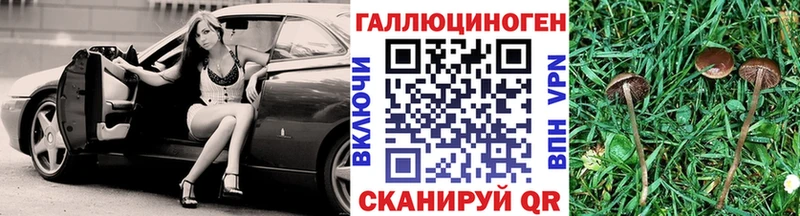 Галлюциногенные грибы прущие грибы  Верещагино 